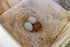 My Favorite Chicken Nesting Box Pads for Chickens - Accessories for Hens, Chicken Coops and Laying Eggs - Square Liners
