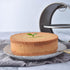 Round Cake Pan, Nonstick 6-Inch with Removable Loose Bottom Chiffon Bakeware, Champagne Gold