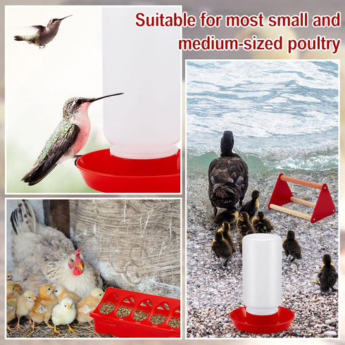 12 Patelai Pcs Chick Feeder and Waterer Kit Feeding Supplies with Mini Perch Chicken Starter Kit for Coop and Brooder