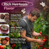 125 Packets SVI Cherokee Purple Tomato Seeds (Solanum lycopersicum) Purple Cherokee Tomato Seed Heirloom Tomatoes