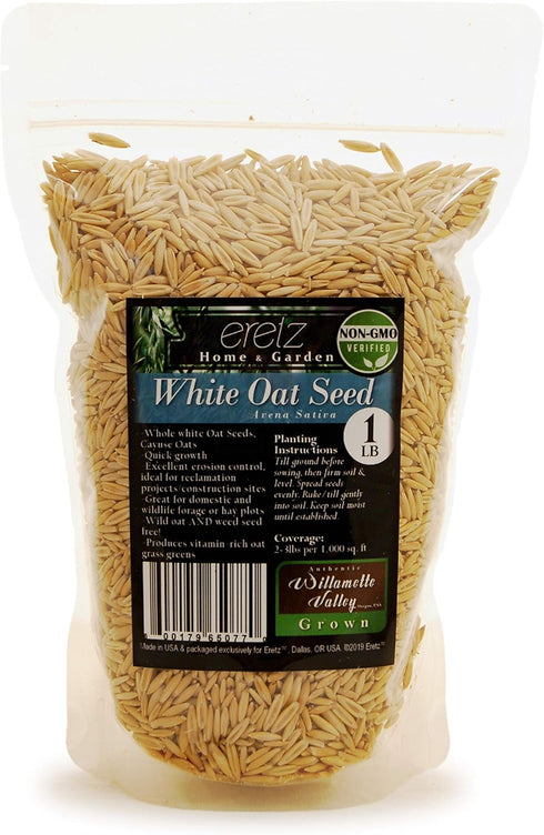Eretz White Oat Seed by - CHOOSE SIZE! Oregon Grown Oat Grains- No