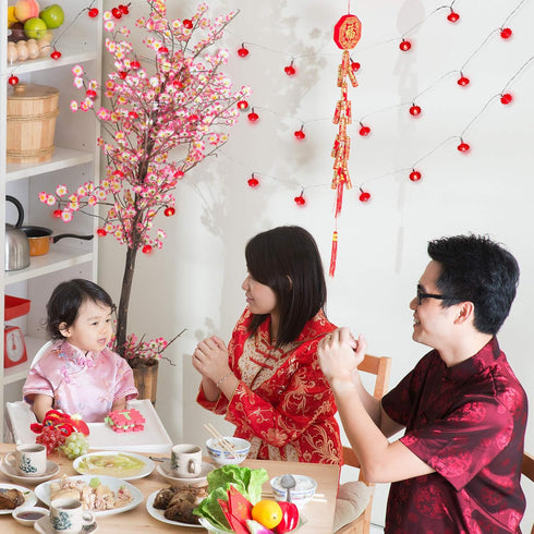 33ft/10m 80 Mudder LED Red Hanging Lanterns String Lights Chinese New Year Battery Operated Fairy String Hanging