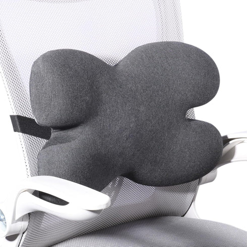 Lumbar Support Pillow for Office Chair, Memory Foam Back Cushion with 3D Mesh Cover for Lower Back Pain Relief