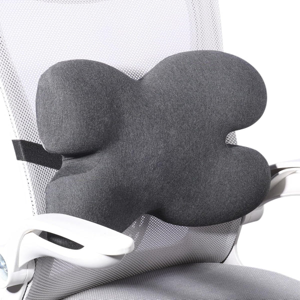 Lumbar Support Pillow for Office Chair, Memory Foam Back Cushion with 3D Mesh Cover for Lower Back Pain Relief