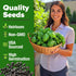 Pack 1,750+ HOME GROWN Non GMO Genovese Basil Seeds High Germination Heirloom Seeds (Ocimum basilicum) Herb Seeds