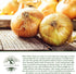 300+ Bulbs Walla Walla Sweet Spanish Onion Seeds (Allium cepa) Non-GMO Heirloom Seeds by Islas Garden Seeds, Extra