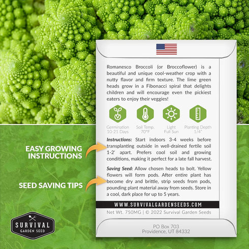 (5 Packs) Romanesco Broccoli Seeds for Planting - Exotic Italian Heirloom Vegetable with Unique Spiral Heads - High