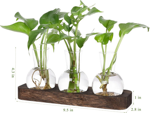 Decor(3 YIBOT Propagation Stations,Plant Propagation Vase,Desk Plant Terrarium with Retro Wooden Stand,Plant Lover