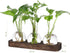 Decor(3 YIBOT Propagation Stations,Plant Propagation Vase,Desk Plant Terrarium with Retro Wooden Stand,Plant Lover