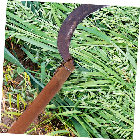 Wooden Handles Iron Spoon Cleaning Tools, Hoe Handle, Wooden Spade Handle, Shovel Replacement Handle for Garden Sickle