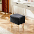 4 DUMOS Vanity Stool Chair, Ottoman with Storage, Makeup Cute Soft Small Footstool, Modern Style Faux Fur Seat