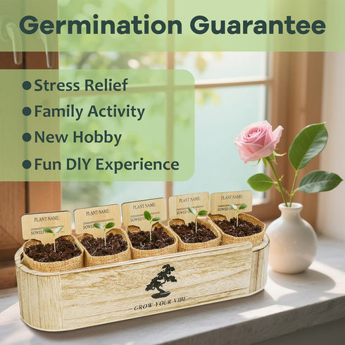 LUOJIBIE Bonsai Tree Kit for Beginners - Unique DIY Japanese Bonsai Trees,Crafts for Adults, Ideal Gardening Birthday