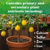 6-3-3, 5 lb Down To Earth All Natural Fertilizers Organic Citrus Mix - Plant Food for Lemons, Limes, Oranges