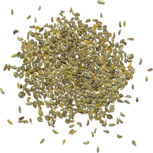 (1 Pack) Seed Needs Italian Flat Leaf Parsley Seeds for Planting - Non-GMO, Heirloom & Untreated - Culinary Herbs