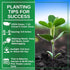 30 1 Packet TKE Farms & Gardens - Red Malabar Spinach Seeds for Planting, Heirloom Non-GMO Climbing Spinach, Nutritious