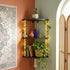 REFGY 3-Tier Corner Floating Shelves with Aesthetic Greenery & Fairy Lights -