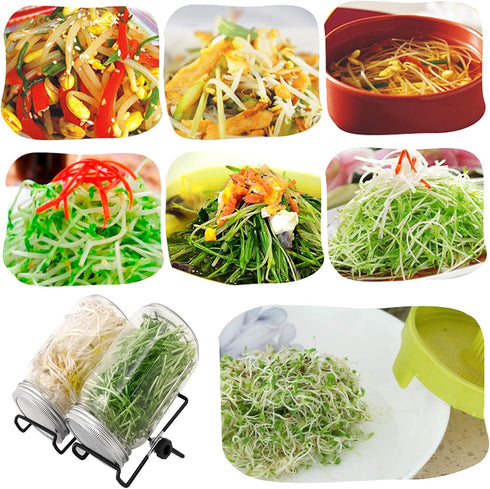 Lulonpon Sprouting Kit, 2 Sprouting Jar Kits with Stainless Steel Screen Lids, Seed Sprouter Set for Broccoli