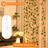 8 (5M/16FT Lakumu LED Fairy Lights Battery Operated, Rechargeable String Lights with Modes & Timer, TypeC, Waterproof