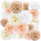 EPIQUEONE 20 Pieces Tissue Paper Pom Poms in Blush Pink, Dusty Rose, Mauve, Cream - Party Decorations (White, Ivory,