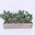 Mixed Eucalyptus Leaves Stems Bulk - Artificial Eucalyptus Leaves Sprays for Floral Wreath Garland Decoration