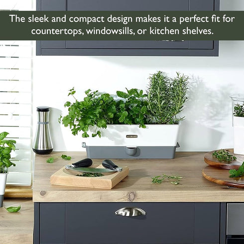 Cole & Mason Triple Self-Watering Herb Keeper - Burwell