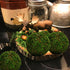 BYHER Handmade Natural Green Moss Decorative Ball, Set of 6 (3.5")