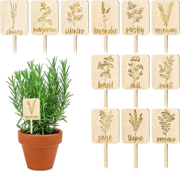 Whaline 24Pcs Wooden Plant Label Signs Planted Herb Garden Markers Plant Stake
