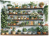 59x51 Inch EOBTAIN Green Plant Wall Tapestry Cactus and Floral Potting on Bookshelf Tapestries Wall Hanging Botanical