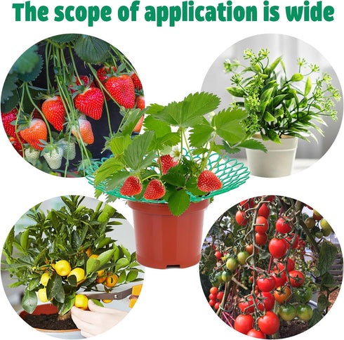 Fairooth 6 Pack 3 Strawberry Supports Strawberry Plant Support Stand Strawberry Growing Racks Protector Strawberry
