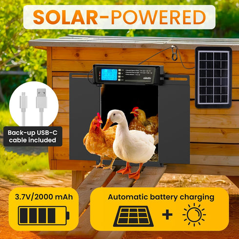 Anti-Pinch 11.3" 8.7" 5-Year Extra Large Automatic Chicken Coop Door Solar Powered with Remote - LCD Display, Light