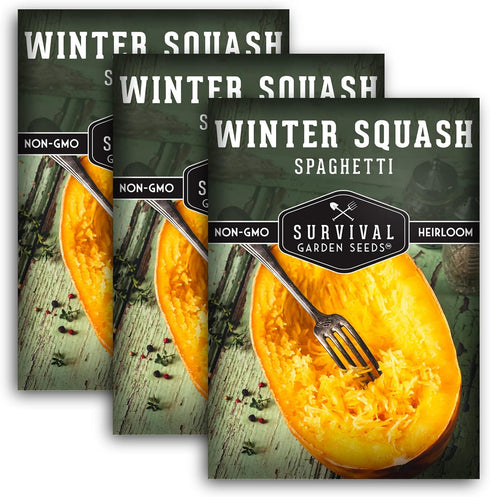 Survival Garden Seeds - Spaghetti Squash Seed for Planting - 3 Packets