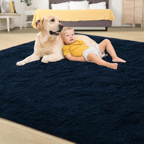 5x8 Tepook Soft Fluffy Rugs for Living Room, Shaggy Area Rug for Bedroom, Modern Shag Rug Fuzzy Carpets for Kids, Plush