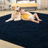 5x8 Tepook Soft Fluffy Rugs for Living Room, Shaggy Area Rug for Bedroom, Modern Shag Rug Fuzzy Carpets for Kids, Plush