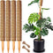 CHIAFFI 4 Pack 22 Inch Moss Poles, Stackable Moss Pole for Plants Monstera,