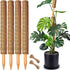 CHIAFFI 4 Pack 22 Inch Moss Poles, Stackable Moss Pole for Plants Monstera,