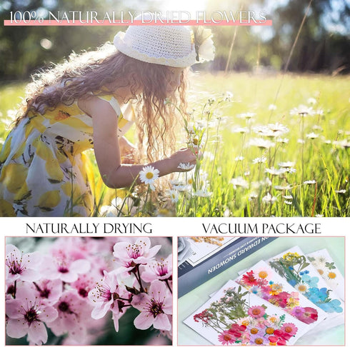 153 Pcs Dried Pressed Flowers for Crafts, Real Wildflowers and Dry Leaves with Tweezer for Jewelry, Candle, Soap Making
