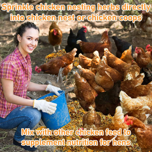 10oz Packed MAQIHAN Chicken Nesting Herbs - Dried Herb Layer Feed Coop and Run Insulation Roosting Bars for Box Pads
