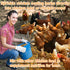 10oz Packed MAQIHAN Chicken Nesting Herbs - Dried Herb Layer Feed Coop and Run Insulation Roosting Bars for Box Pads