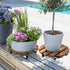2pack 12Wood 2 360 Yangbaga Plant Caddy Duty Rolling Plant Stand with Lockable Caster Wheels,Indoor Outdoor on Roller