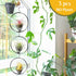 Casktcom 5.5" 3 Air Plant Hangers for Ceiling & Windows, Airflow Hanging Air Plant Holder, Tillandsia Succulent Display