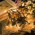 35 Count 8.5 Set MULTI-SPARKING Clear Christmas String Lights - Warm White Incandescent Mini Christmas Lights for Small