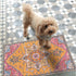 Collive Washable Indoor Door Mat 20" x 32", Non-Slip Retro Floor Mat for Quick Absorbent Entrance Rug, Kitchen Home