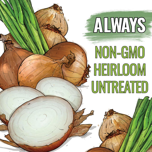 (5 Packs) Seed Needs Onion Seeds for Planting Walla Walla Long Day Onions - Non-GMO Heirloom & Untreated Vegetable