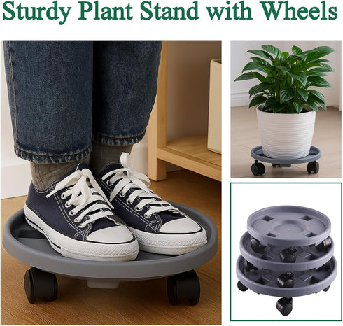 Tulpeed 5 Pack 12 Inch Rolling Plant Stand with Wheels Plant Caddy with Wheels Heavy Duty Plant Dolly Roller Base
