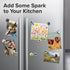 Super Cute 12 Glass Fridge & Locker Magnets – Strong Hold for Photos, Notes, Recipes – Aesthetic Decoration
