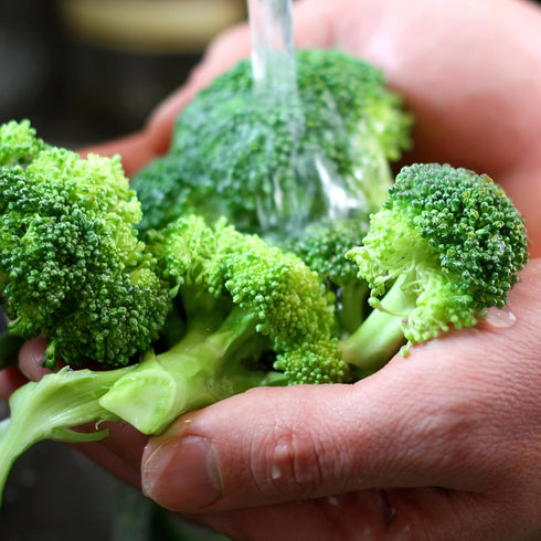 Purely Organic Products LLC 29) 750 Purely Organic Broccoli Seeds (Waltham - Approx Seeds - USDA Organic, Non-GMO, Open