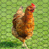 2 (Black,13.7 80 Inches) SATINIOR Sheets Chicken Wire Net for Craft Work, Galvanized Hexagonal Wire Mesh x