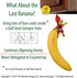 Banana Bungee Red Banana Hook Holder, Made in USA, for Multiple Bunches or Single Banana