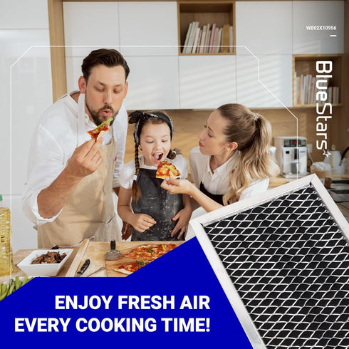 BlueStars JX81H WB02X10956 Microwave Charcoal Filter (4" x 8-5/8") - Fits GE & Samsung Ovens - PACK OF 2