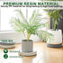 12 2 Pack Plant Caddy with Wheels and Drainage Tray Heavy Duty Rolling Planter Base & Indoor Plant Tray, Flower Pot
